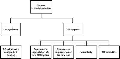 New Insights in Central Venous Disorders. The Role of Transvenous Lead Extractions